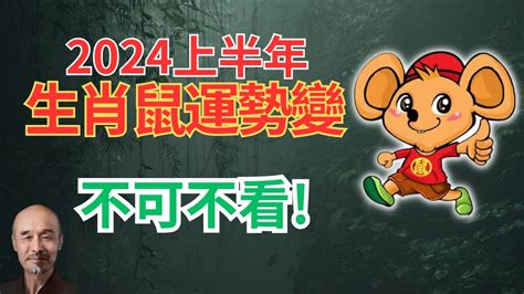 2024鼠年運程1996|1996年属鼠人2024年运势及运程详解 96年出生28岁生肖鼠2024年。